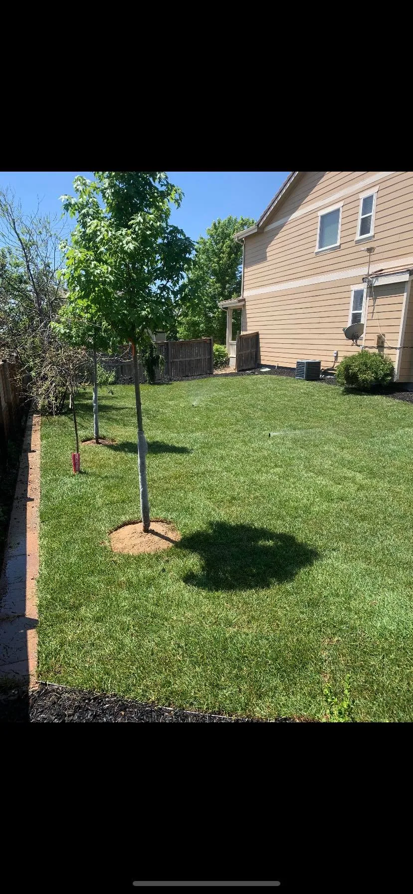 Lawn transformation and landscape design in the Denver metro